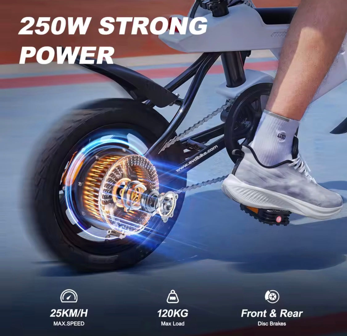Bicicletta elettrica E-bike Dimensioni ruota da 14 pollici con batteria 36 V 6,4 Ah, display LCD digitale, motore E-Bike da 250 W e 25 km/h,