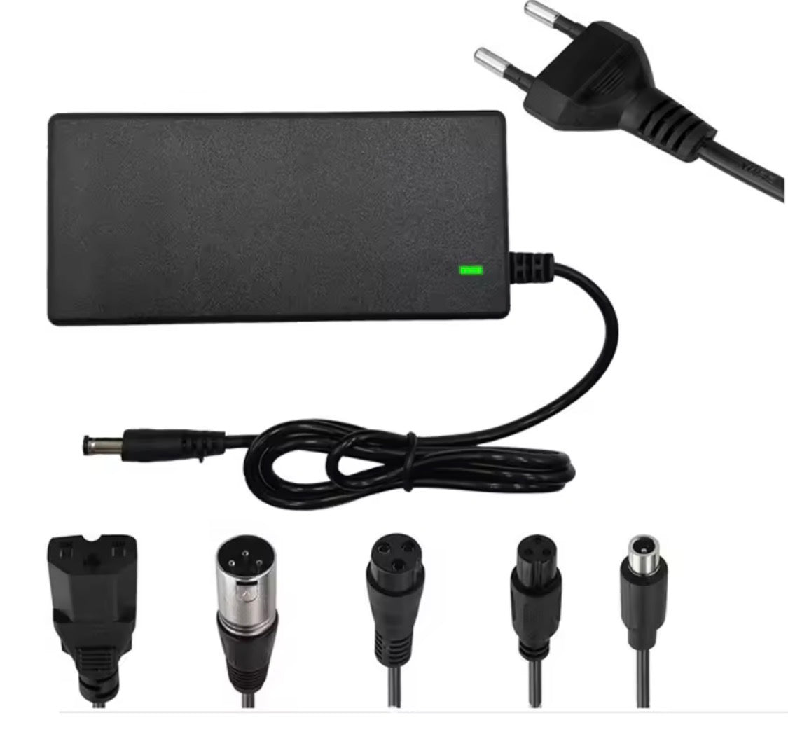 42V 2A Scooter Elettrico Balance Caricatore Adattatore di Alimentazione Caricatore Universale 4/5 Spine Per 36 25.2V 25.9V 25.6V 24V Batteria Al Litio